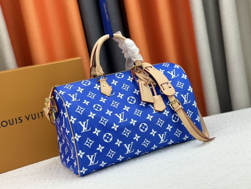 LV Travel Bags